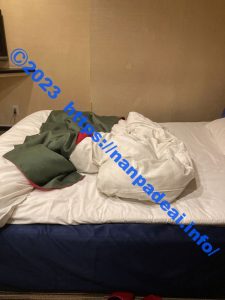 【動画あり!】バツイチアラフォー女と中出しもハメ撮りもした話。性欲に任せて、後悔した失敗談